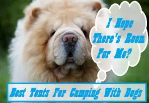 Best Tent For Camping With Dogs