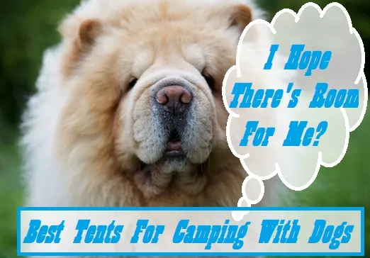 Best Tent For Camping With Dogs