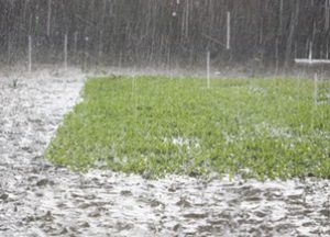 Wet Weather Camping Tips