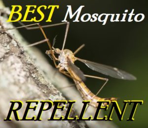 Essential Insect Protection