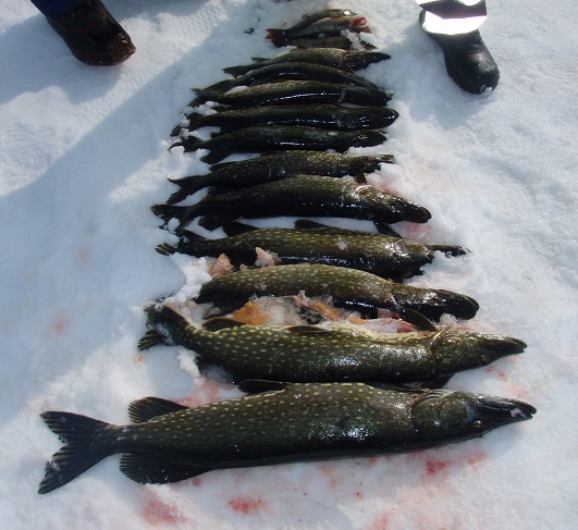 How Ice Fishing Insulation Works
