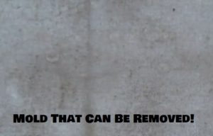 How To Remove Mold From Canvas Material